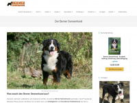bernersennenhund.de Webseite Vorschau