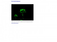 bioimaging.de Webseite Vorschau