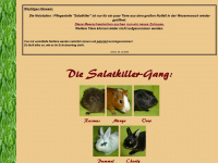 salat-killer.de Webseite Vorschau