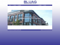 blu-ag.de Webseite Vorschau