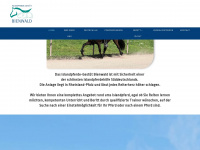 bienwald.com Webseite Vorschau