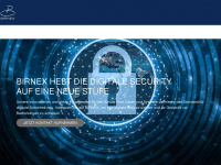 birnex.de Webseite Vorschau