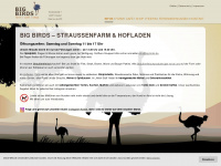 big-bird.de Webseite Vorschau