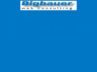 bigbauer.de Webseite Vorschau