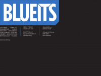blueits.com Webseite Vorschau