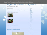 biggi-orchideen.blogspot.com Webseite Vorschau