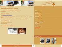katzenschutz-halstenbek.de Webseite Vorschau