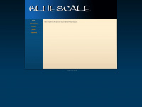 bluescale.de Webseite Vorschau