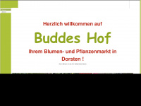blumen-budde.de Webseite Vorschau