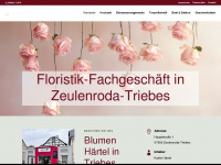 blumen-haertel.de Webseite Vorschau