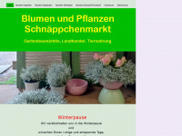 blumen-pflanzen.net Webseite Vorschau