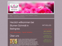 Blumen-schmidt-beilngries.de