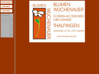 blumen-ulm.de Webseite Vorschau