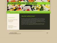 blumen-walter.de Webseite Vorschau