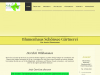 blumenhaus-schoensee.de Webseite Vorschau