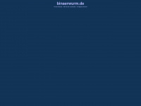 binaerwurm.de Webseite Vorschau