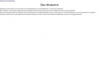 bindestrich.de Webseite Vorschau