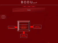 bodu-gmbh.de Webseite Vorschau