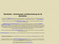 bachblütenshop.net Webseite Vorschau