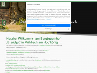 brandgut.com Webseite Vorschau