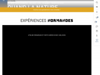 normandie-tourisme.fr Webseite Vorschau