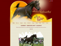 bolero-arabian-stud.com Thumbnail