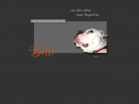 bollebulldog.de Webseite Vorschau