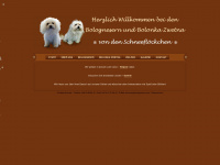 bologneser.com Webseite Vorschau