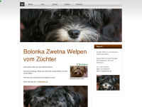 bolonka.de Webseite Vorschau