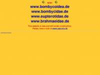 bombycoidea.de Webseite Vorschau