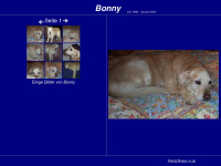 bonny-a.de Webseite Vorschau