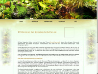 bonsai-aquaristik.de Webseite Vorschau