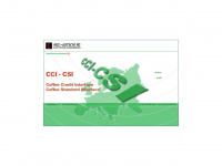 cci-csi-interface.com