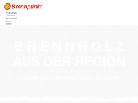 brennpunkt-b303.de Webseite Vorschau