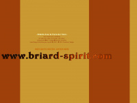 briard-spirit.com Webseite Vorschau