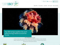 ibo-info.org Webseite Vorschau