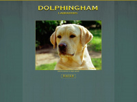 dolphingham.com