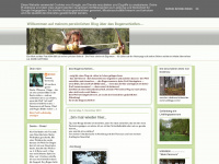 brigid-mitpfeilundbogen.blogspot.com Webseite Vorschau