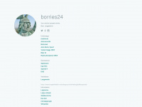 borries24.de Webseite Vorschau