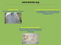 borste.org Webseite Vorschau