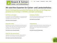 boseck-salmen.de Webseite Vorschau