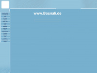 bosnali.de Webseite Vorschau