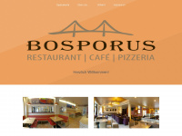 bosporus-singen.de Webseite Vorschau