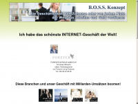 boss-system.de Webseite Vorschau