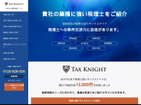 tax-knight.com Webseite Vorschau