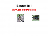 bronkoundtell.de Webseite Vorschau