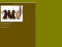 brownbeaver.de Webseite Vorschau