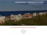 boysen-hasselberg.de Webseite Vorschau