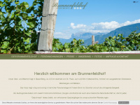 brunnenfeldhof.com Webseite Vorschau