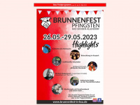 brunnenfest-bsa.de Webseite Vorschau